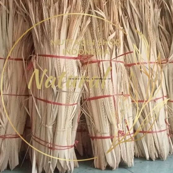 

Daun Siwalan/ Lontar/ Ental/ Ibung PUPUS MUDA BAHAN PENJOR (NATURAL) Kering 1 Pucuk Full