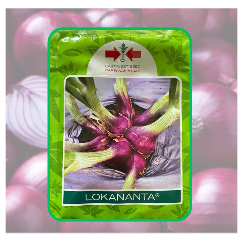 Benih Bawang Merah LOKANANTA 10 gram - Cap Panah Merah