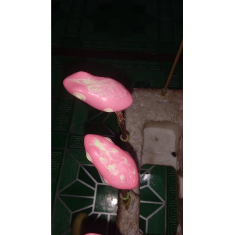 Cangkang/kulit soft frog