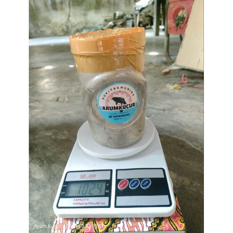 umpan kucur baung 1 kg kucur