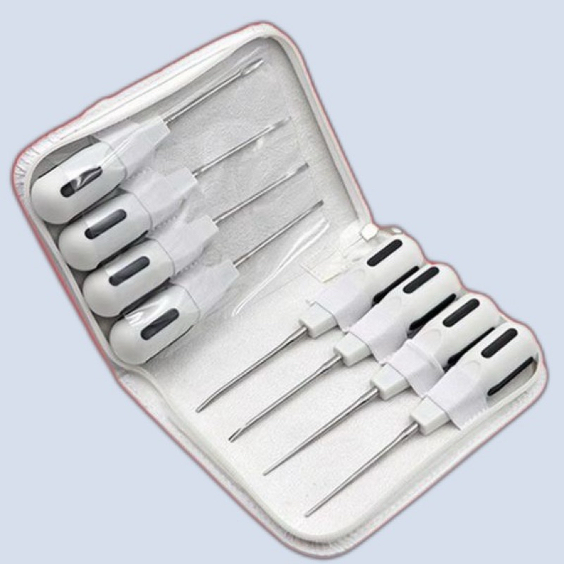 Dental Elevator Tooth/Luxator Bein Root Elevator Set 8pcs