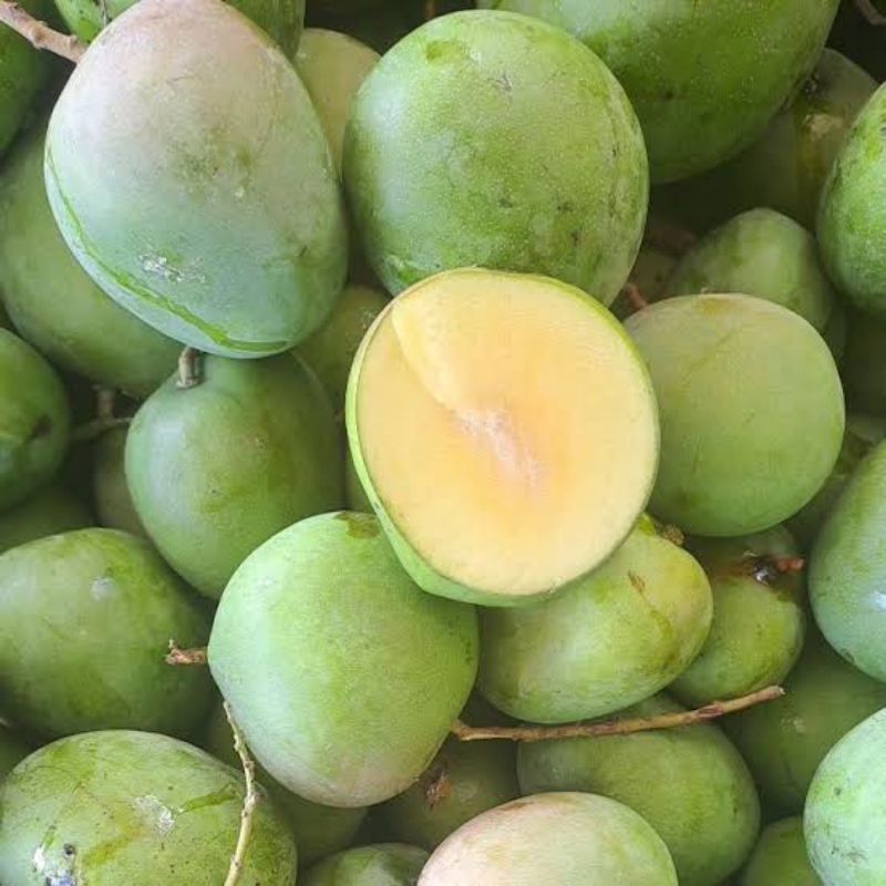 

Mangga muda Rujak mentah