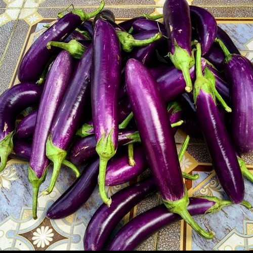 

Terong Ungu Panjang 250gr 500gr 1kg Sayuran Segar