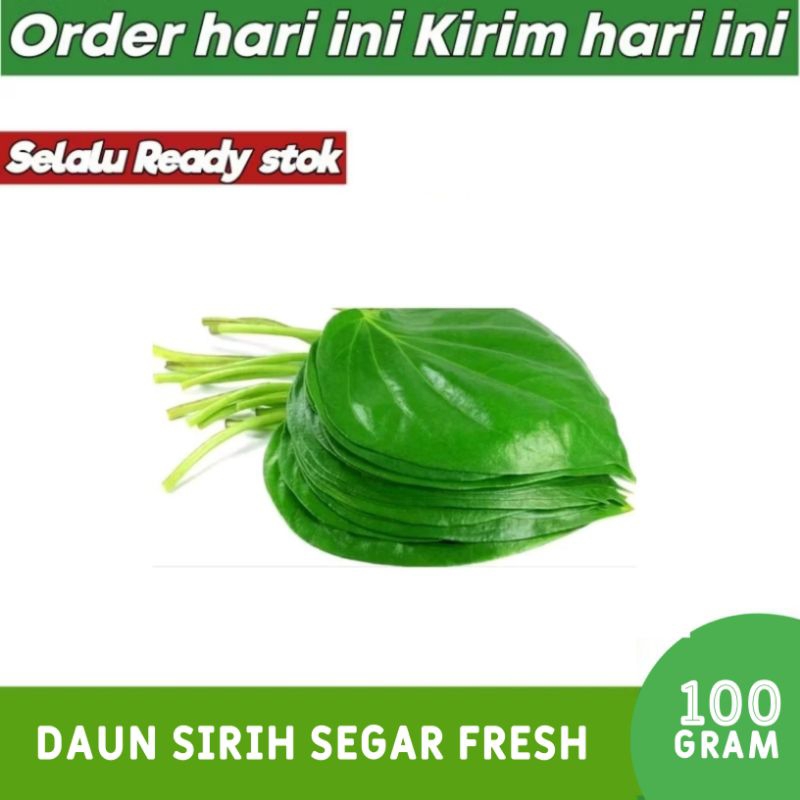 

Daun Sirih Segar 100 gram