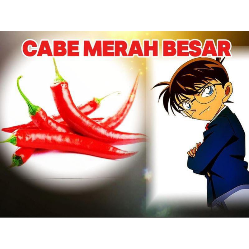 

CABE MERAH BESAR/ CABAI MERAH BESAR 100GR