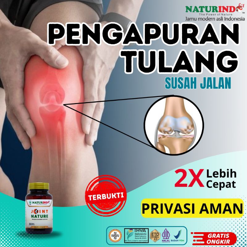 Obat Pengapuran Tulang Sendi Lutut Keropos Tulang Keropos Susah Jalan Osteoporosis