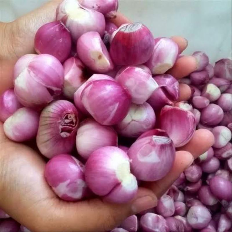 

Bawang Merah Kupas 1 Kg