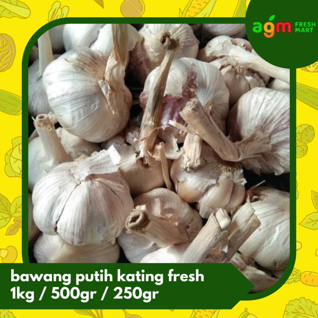 

bawang putih kating segar kotor