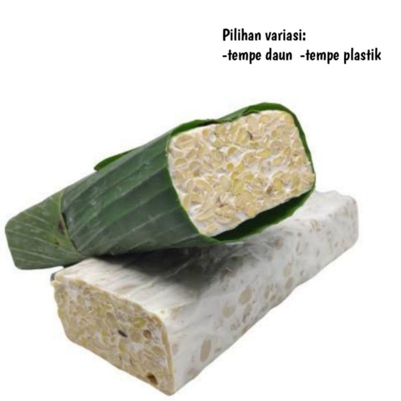 

TEMPE SEGAR PILIHAN BERAT KURLEB 500-600GR/TEMPE DAUN SEGAR/TEMPE SEGAR PILIHAN/TEMPE MURAH