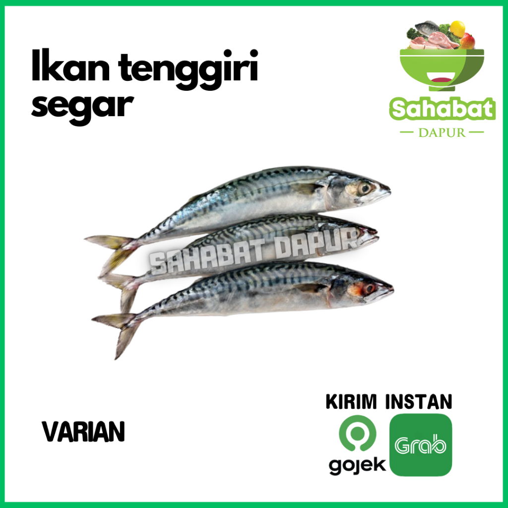 

Ikan Tenggiri Segar / Tengiri Segar - Sahabatdapur