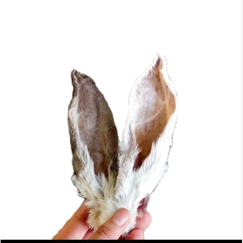 Cemilan Anjing Dog Snack Treats Telinga Kuping Kelinci berbulu Kering
