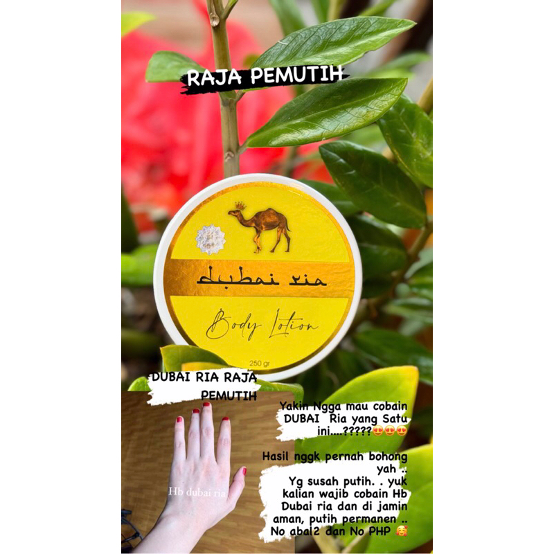 Hb Dubai Super BPOM RASA DOSTING Terbaru. ORIGINAL 1000%