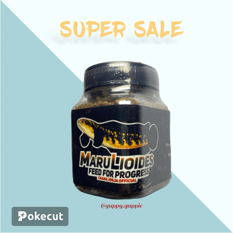 PELET MARULIOIDES CHANNA JOGJA OFFICIAL