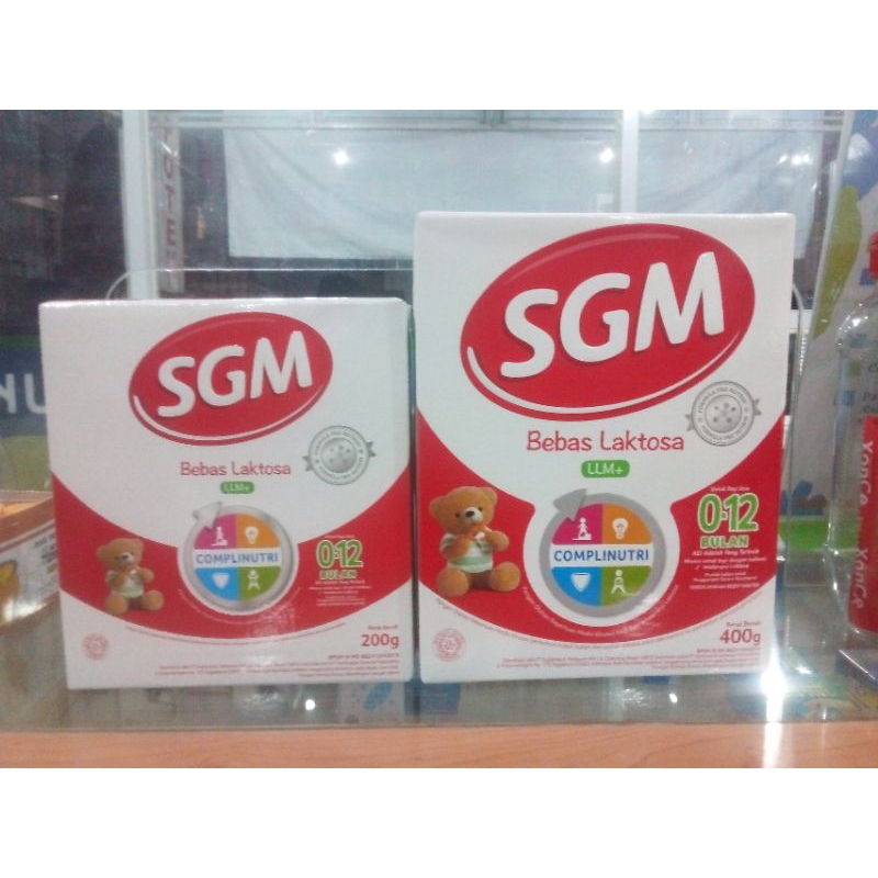 SGM LLM