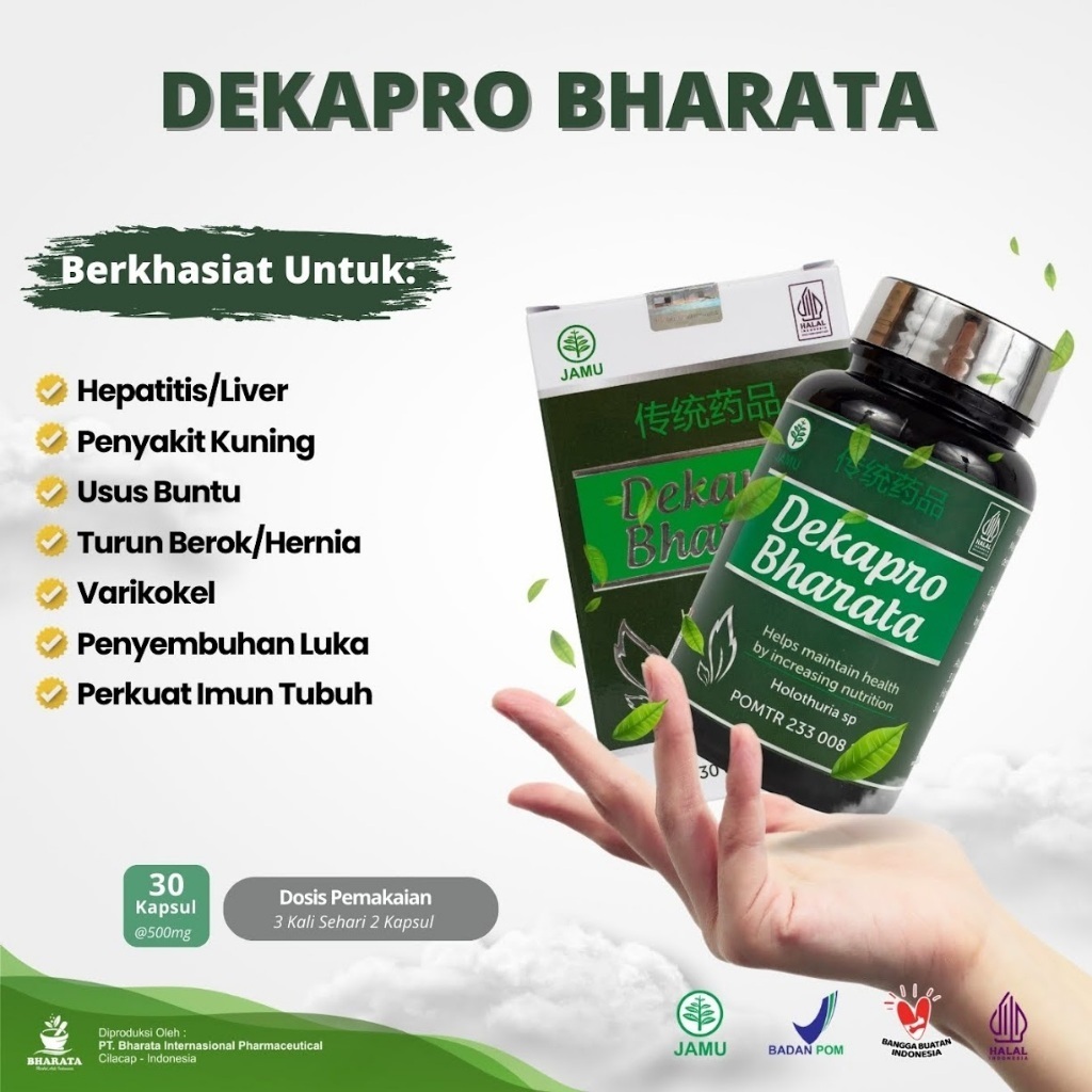 Dekapro Bharata Obat Hernia Ampuh Turun Berok Pria Wanita Asli