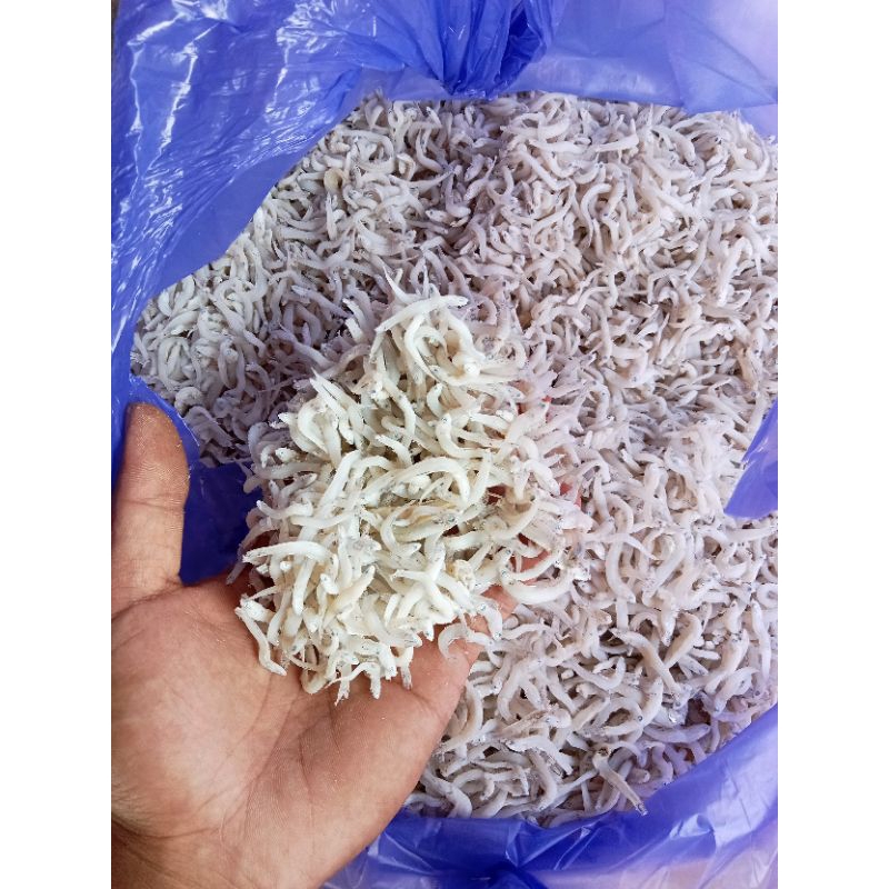 

Ikan Teri Nasi Asin Sumur.