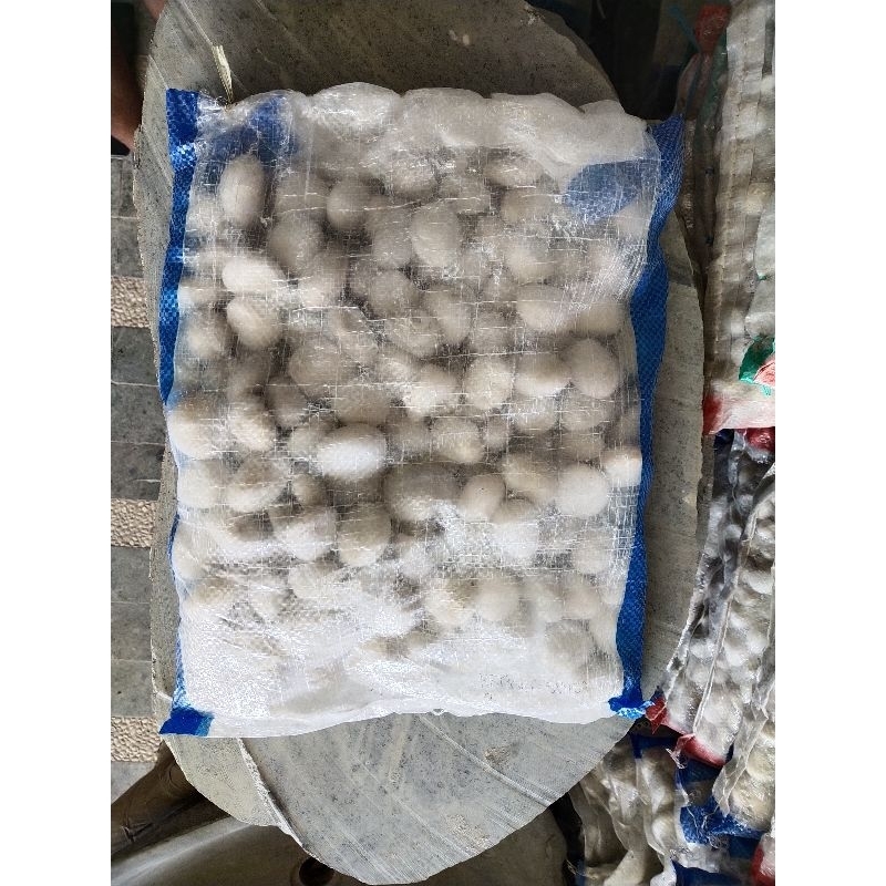 Batu Taman | Batu Makam | Batu Hias | Batu Akuarium