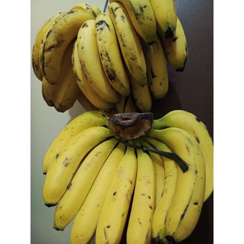 

Pisang Ambon 500 gram