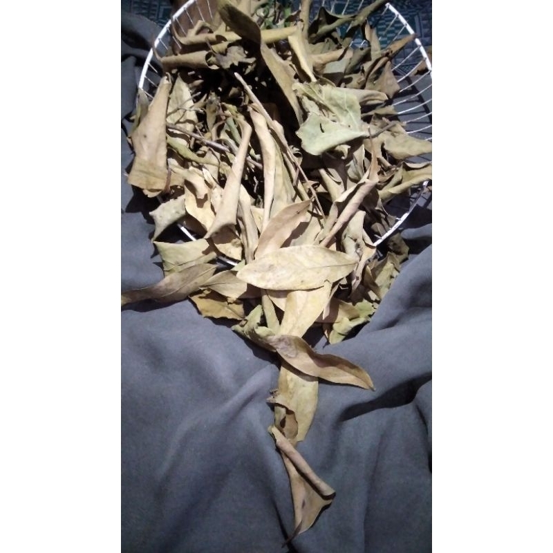 DAUN BENALU JERUK NIPIS KERING 100g