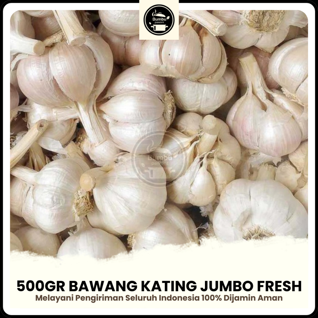

Bawang Putih Kating Jumbo 500gr Bersih Fresh