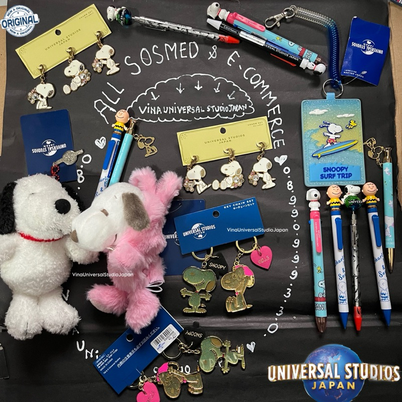 Universal studio Japan Merchandise Snoopy charlie peanut