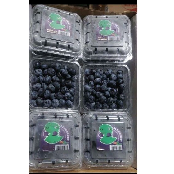 

BLUBERRY 125 gram/PACK