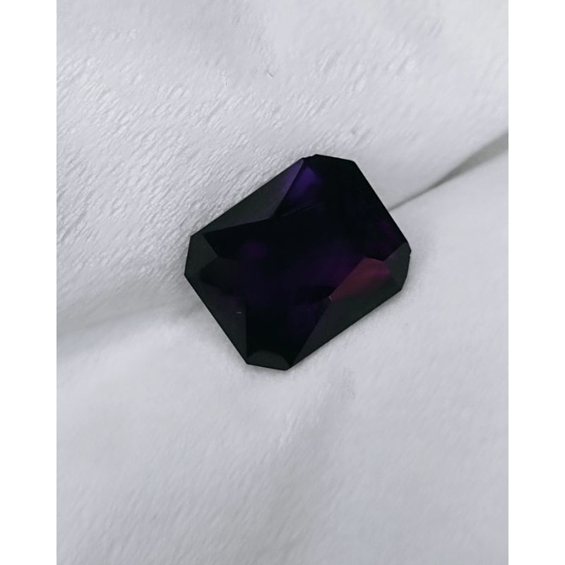 KECUBUNG UNGU TUA KECUBUNG WULUNG KECUBUNG KALIMANTAN