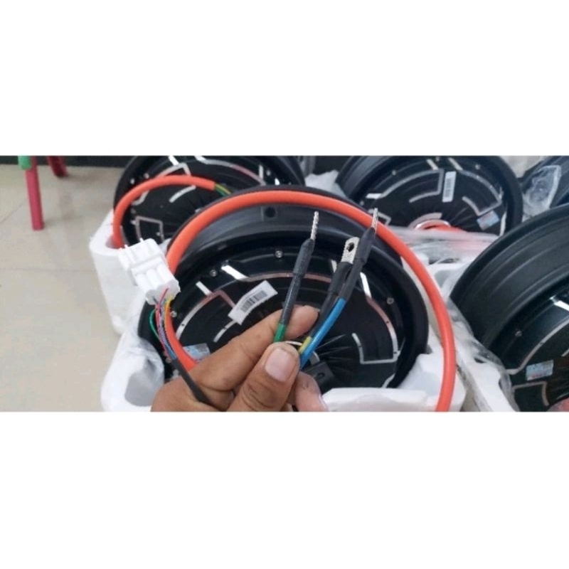 BLDC QS MOTOR ORIGINAL 12 IN V4 MODIF HALL