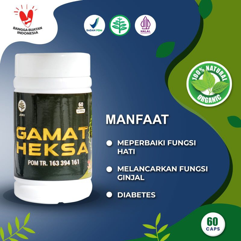 Gamat heksa