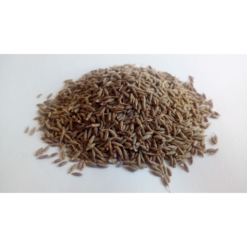 

rempah bumbu jinten