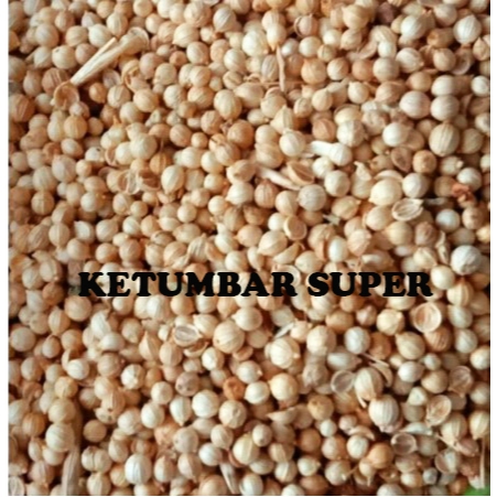 

KETUMBAR BULAT SUPER KETUMBAR ASLI KETUMBAR BERSIH