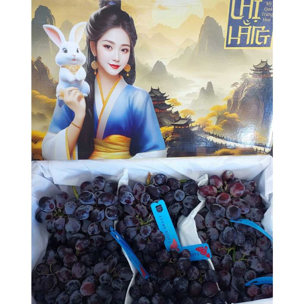 

Anggur Hitam Autumn Non Biji