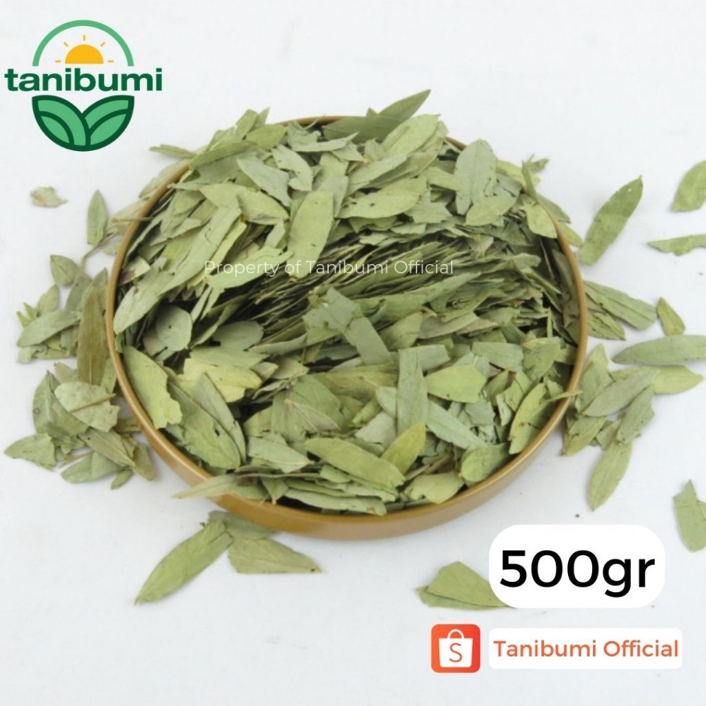 

500g | Termurah Daun Jati Cina | Teh Herbal Pelangsing Premium