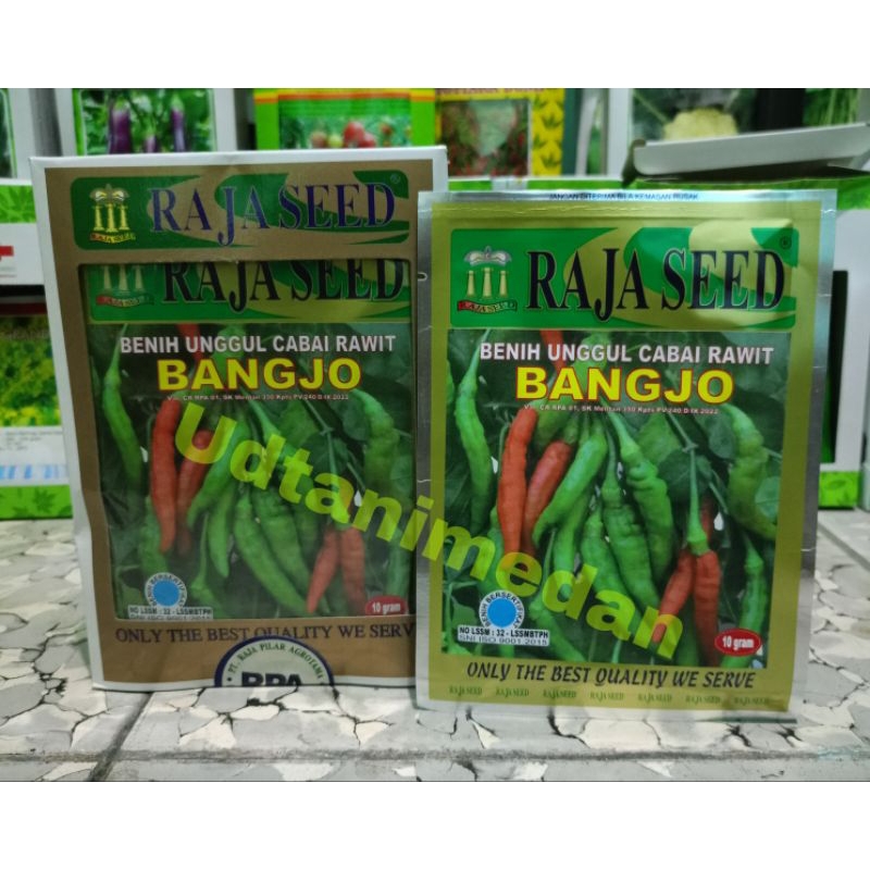 Benih Cabe Rawit Bangjo isi 10 gram