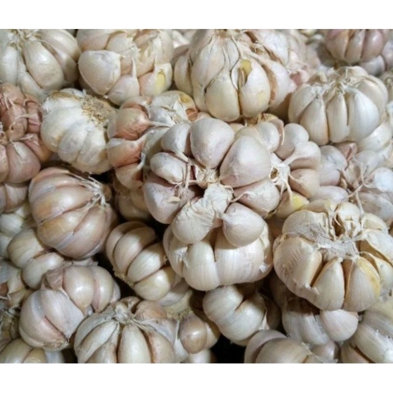 

bawang putih