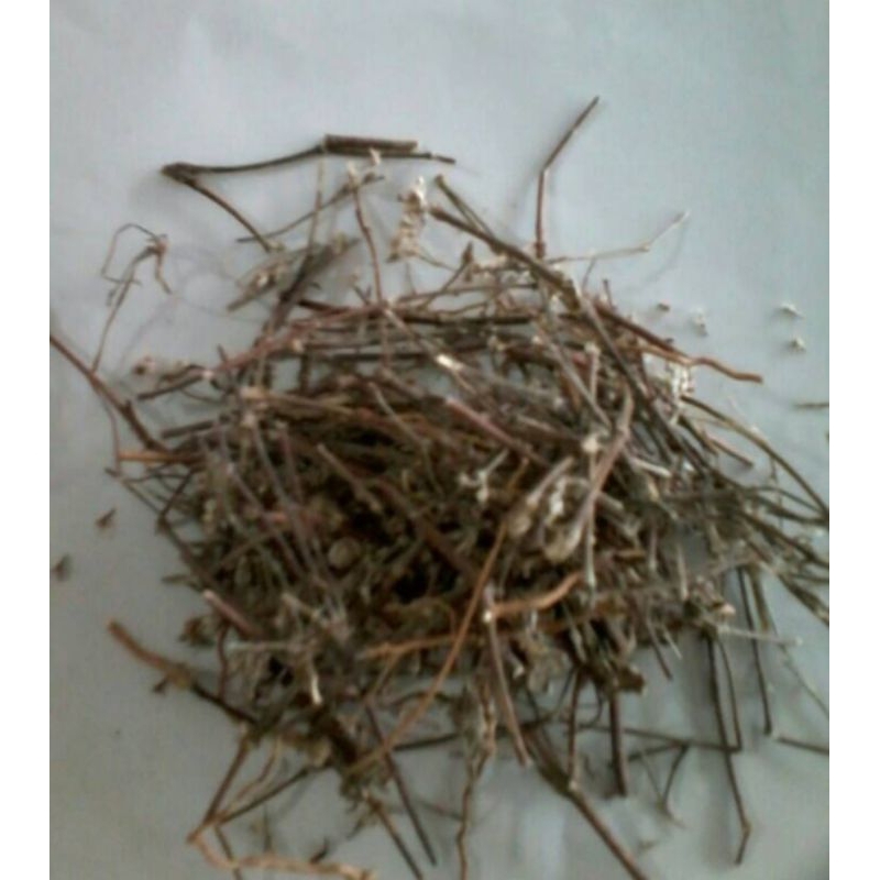 

600 G GR GRAM 白头翁 BAI TOU WENG PULSATILLA CHINESE ANEMONE ROOT