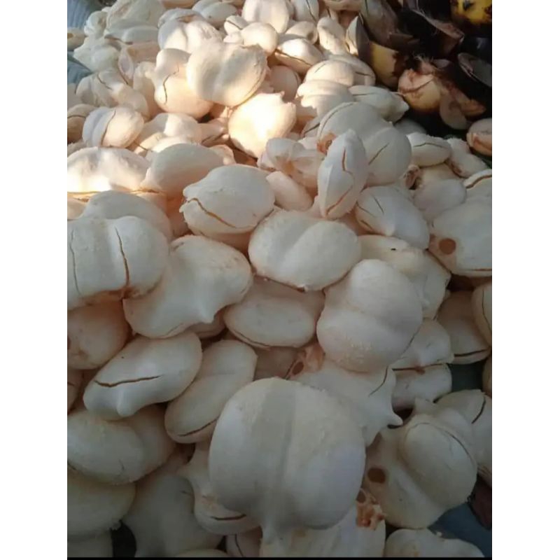 

BUAH SIWALAN/LONTAR Kupas ISI 25 biji