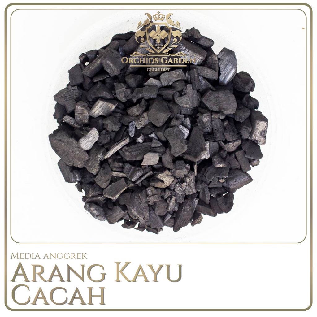 ORCHIDSGARDEN Arang Kayu Bakar Anggrek Hidroponik Media Tanam Tanaman Areng Tanaman Charcoal Orchid