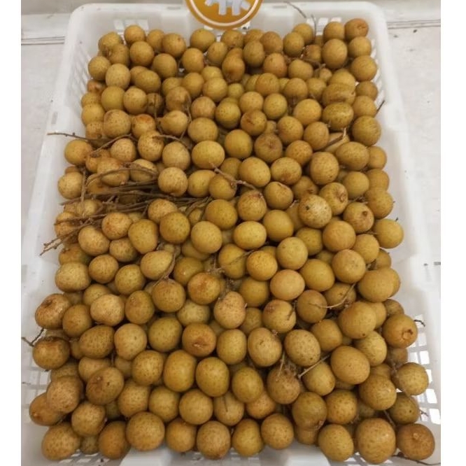 

Buah Kelengkeng atau Longan per keranjang