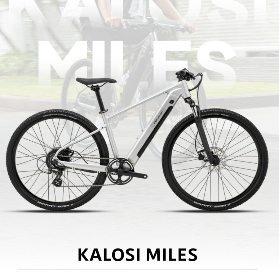 polygon kalosi miles ebike new - grey, S