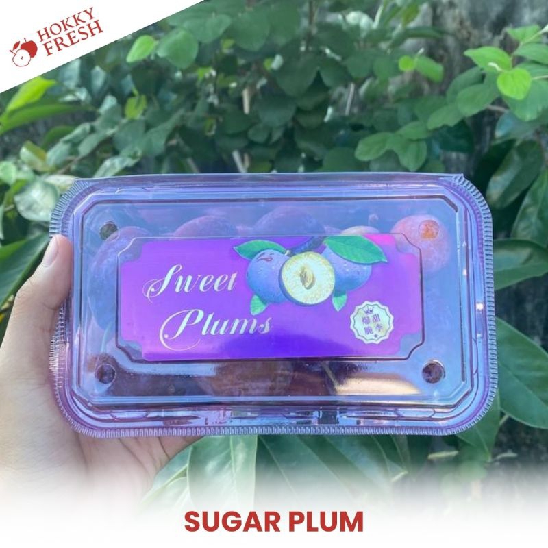 

Sugar Plum / Pack