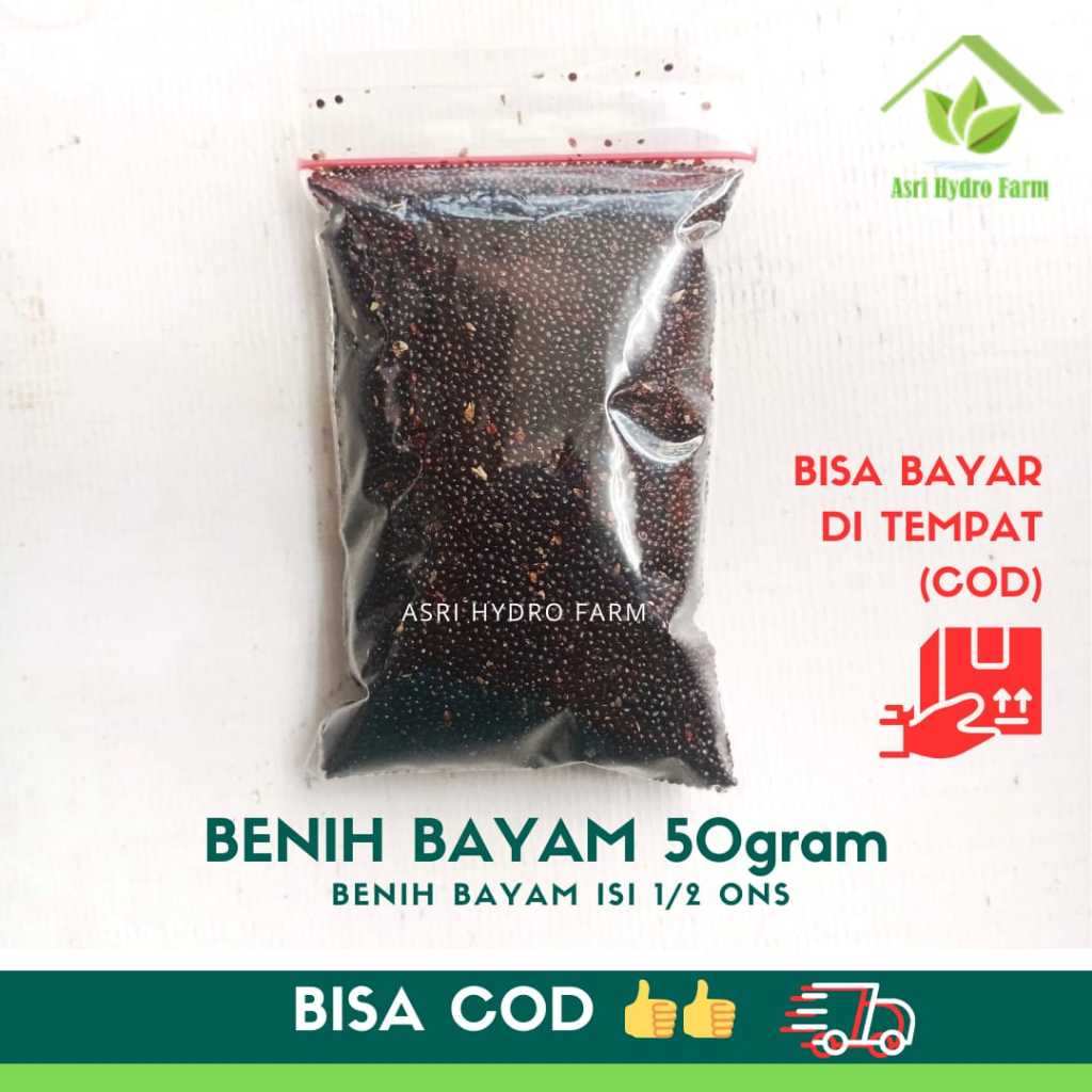 BENIH BAYAM 50gram bayam cabut biji sayur bayam benih unggul