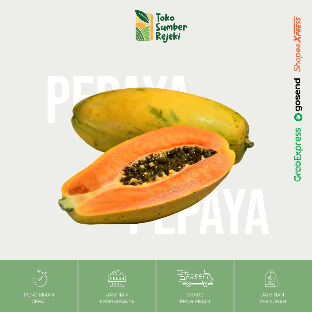 

Pepaya Kalifornia / Kates Segar - Toko Sumber Rejeki Yogyakarta
