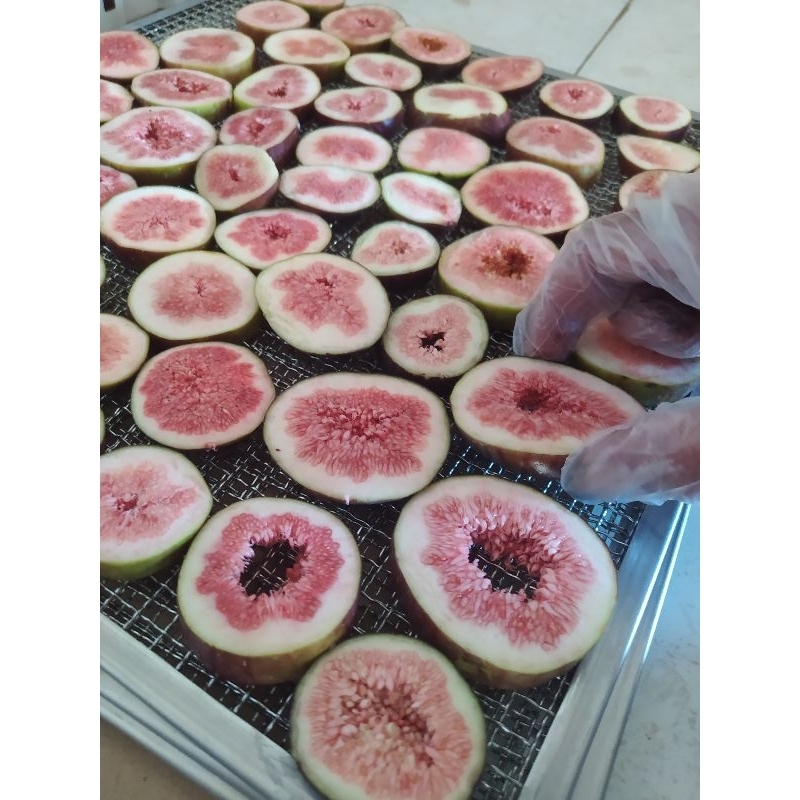 

Buah Tin Kering