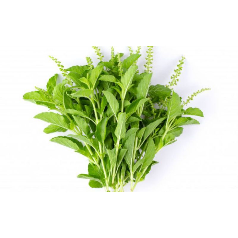 

daun kemangi per ikat