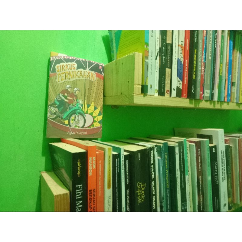 Sirkus Pernikahan - Agus Mulyadi