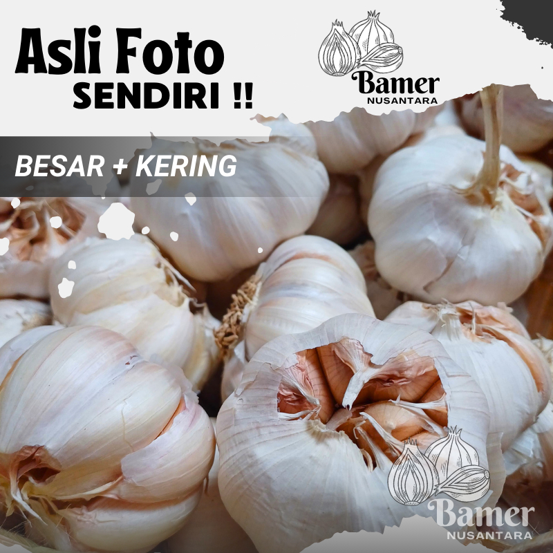 

Bawang PUTIH 1 Kg Termurah Bersih Halus 500 250 Gram Lokal Putuh Super 1/2 1/4 1 KG Promo Gratis Ongkir Untuk Bumbu Masakan Kating Honan Sinco