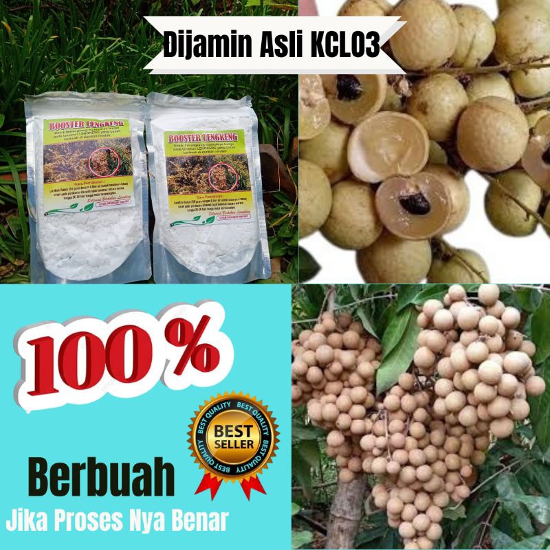 GARANSI ASLI.. Booster Kelengkeng Sodium, Booster Kelengkeng P0tasium Clorat