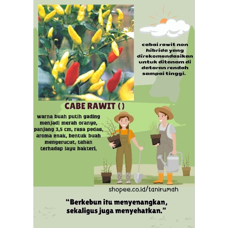 

BENIH CABE RAWIT TARUNA PUTIH GADING