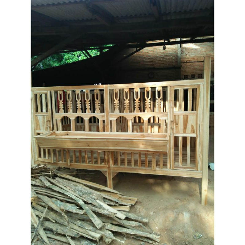 kandang kambing||kandang domba|| jati modern